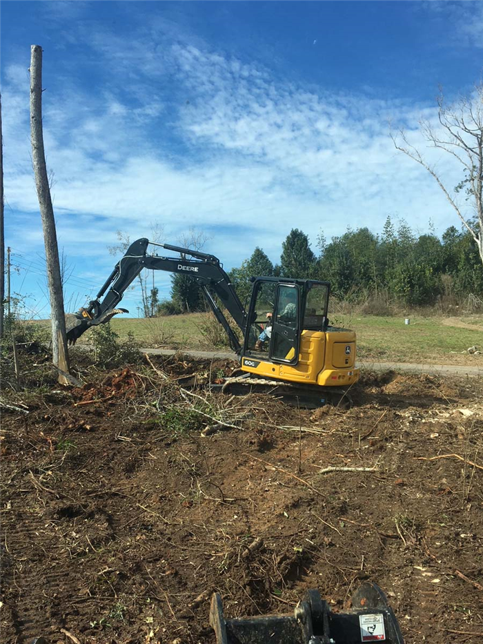 Tree Cutting & Removal Services | Triple S Outdoor Maintenance of ...